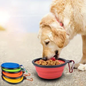 Silicone Travel Dog Bowl (Collapsible)