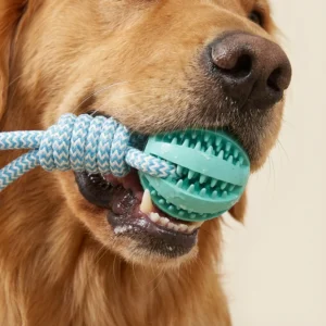 Natural Rubber Treat Dispenser Ball