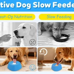 Puzzle Feeder Bone Shape