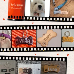 Personalized Engraved ID Tag